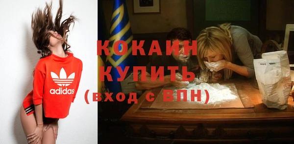 кокс Богородицк