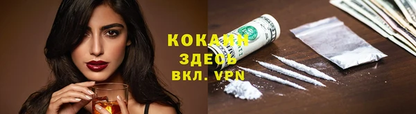 кокс Богородицк