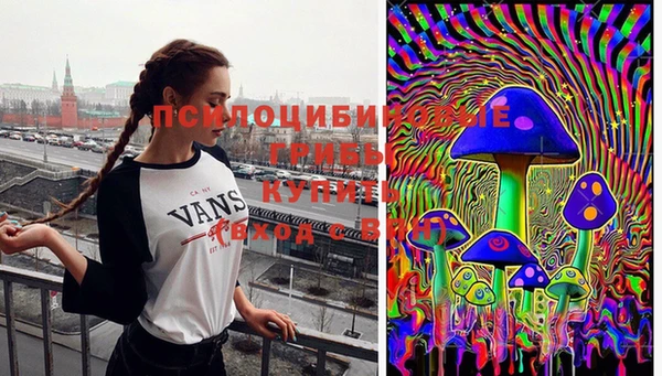кокс Богородицк