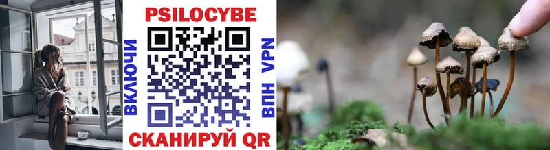 Псилоцибиновые грибы Psilocybe  Нариманов 