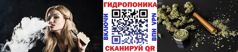 KRAKEN ONION  Нариманов  Каннабис сатива 